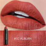 Load image into Gallery viewer, FOCALLURE 19 Colors Matte Lipsticks Waterproof Matte Lipstick
