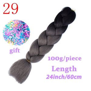 LISI HAIR 24 Inch Braiding Hair Extensions