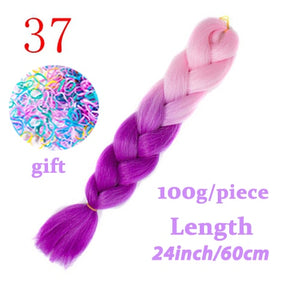 LISI HAIR 24 Inch Braiding Hair Extensions