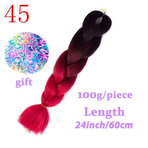 LISI HAIR 24 Inch Braiding Hair Extensions