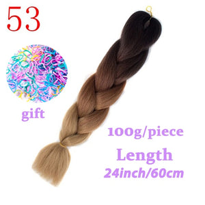 LISI HAIR 24 Inch Braiding Hair Extensions