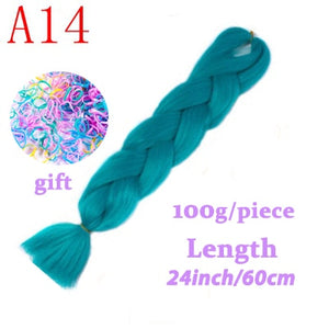 LISI HAIR 24 Inch Braiding Hair Extensions